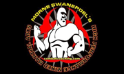 HIGH PERFORMANCE MMA