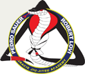 ROBERT LOVI JIU JITSU