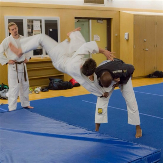 judo takedown drill